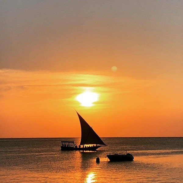 The Escape To Africa