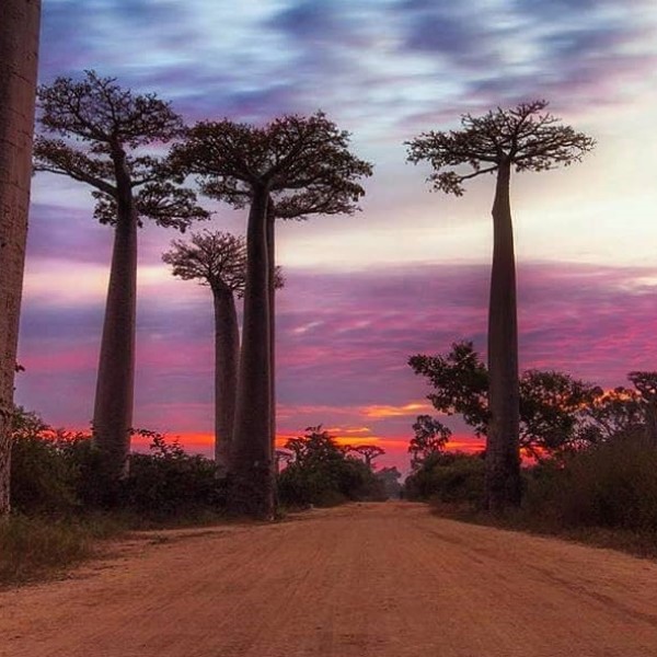 Madagascar