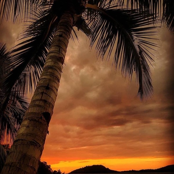 African Sunset With You