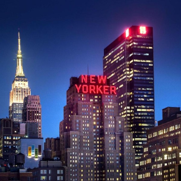 New yorker