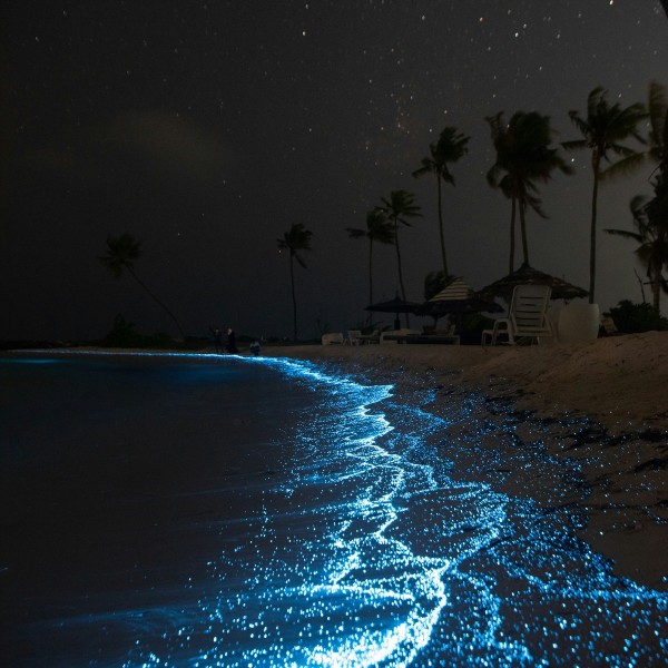 Shining Shore