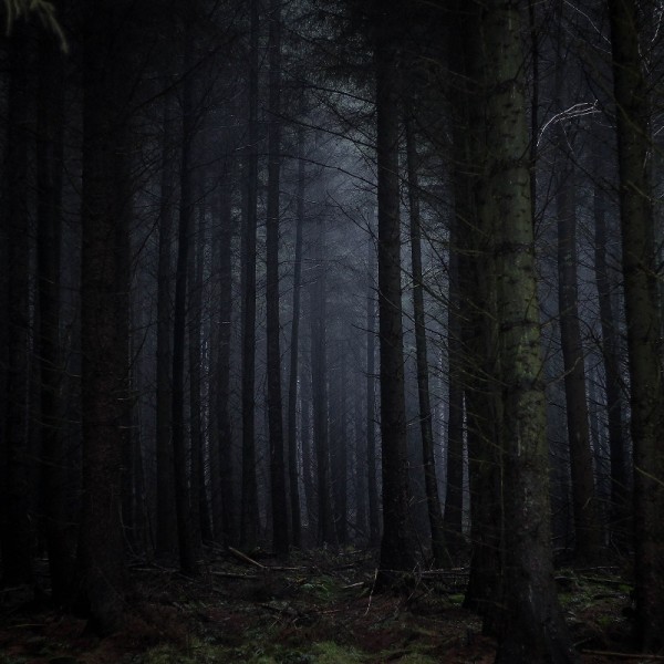 Mysterious Dark Place