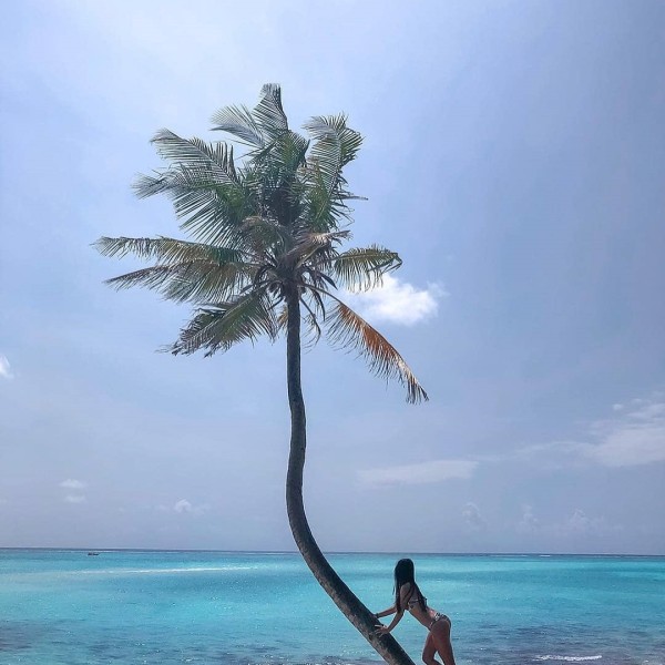 The Escape To My Africa
