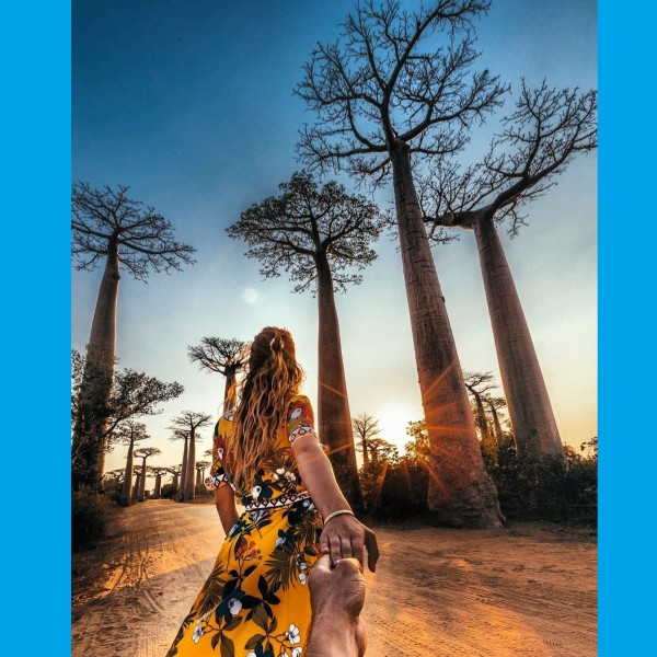 African Baobab